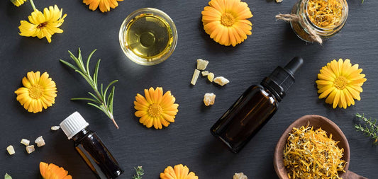 The properties of essential calendula oil are diverse and very beneficial for your health